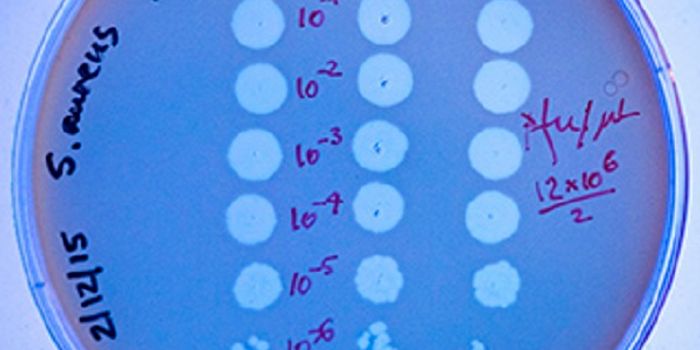 Enzyme Cues Bacteria to Recall a Peril