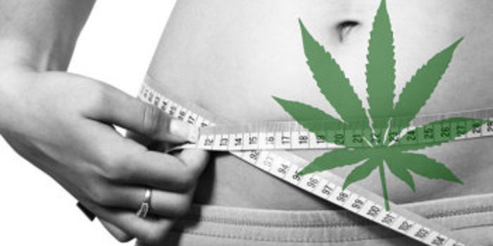 The Anti-Obesity Effects of the Cannabinoid-2 Cell Receptor