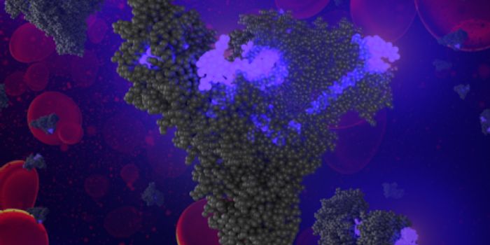 Anti-cancer Drug Disguises as Fat