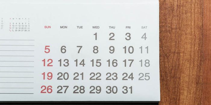 Software maps immune system in 17 days (not 106 years)