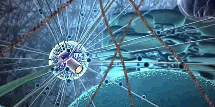 Centrioles Could Carry Disease-Unlocking Billogical Data