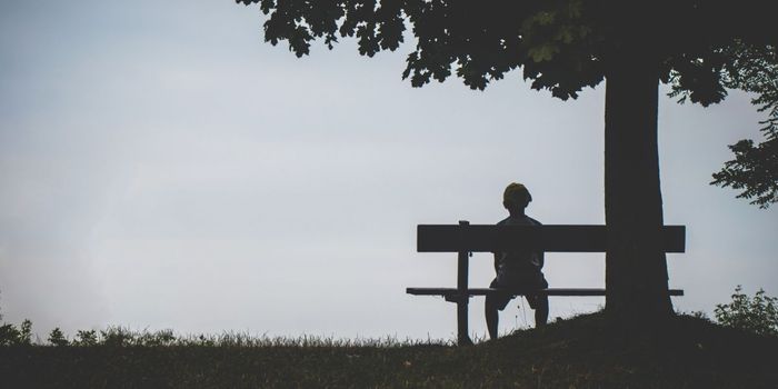 Social Trauma Blocks Social Reward Neurons, Triggering Avoidance