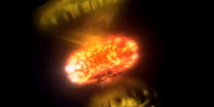 Imaging Uncovers Hidden Structures in Exploding Stars