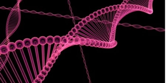 Introducing a plant toxin that can be used as an antibiotic: albicidin