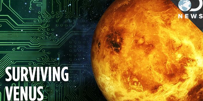 New Hope for Increasing the Lifespan of Venusian Landers?