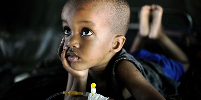 New drug blows up malaria parasites in blood