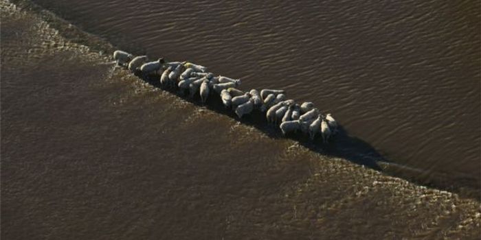 England to Pay Farmers to Use Land for Flood Avoidance?