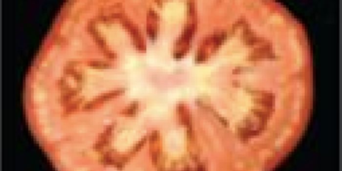 USDA Will not Regulate Crops Edited by CRISPR