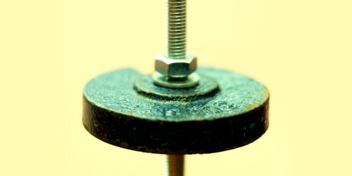 To better teach physics, let students decide