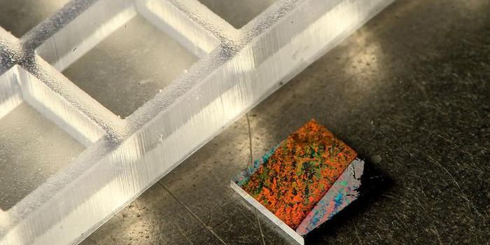 Novel Blood Test Rapidly Diagnoses Heart Attacks in Early Stages