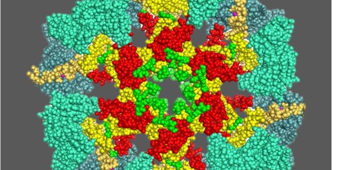 Mechanism Causing Age-Related Memory Issues Discovered