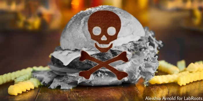 Fatty NK Cells Can't Target Cancer