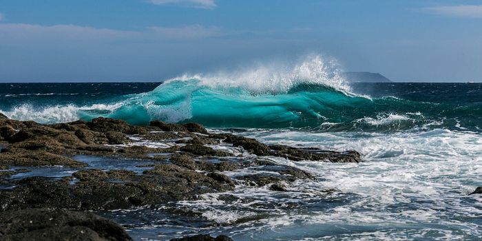 Celebrating World Oceans Day