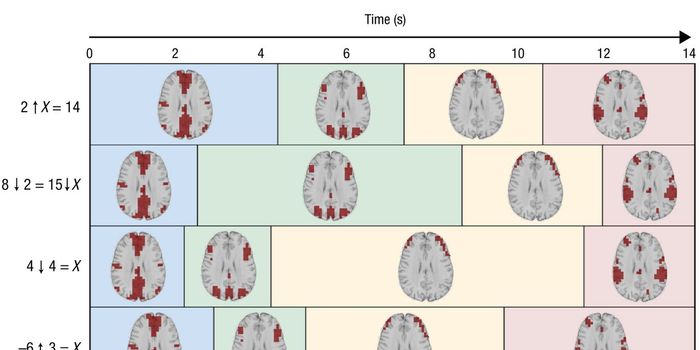 Visualizing Problem-Solving in the Brain