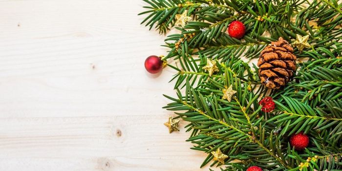Environmentally-Friendly Ways to Dispose of Your Christmas Tree