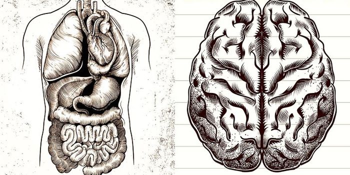 Predicting Parkinson's with gut microbes