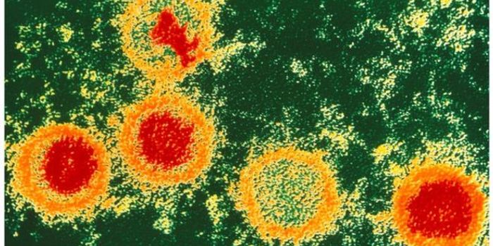 Epstein-Barr virus and cancer