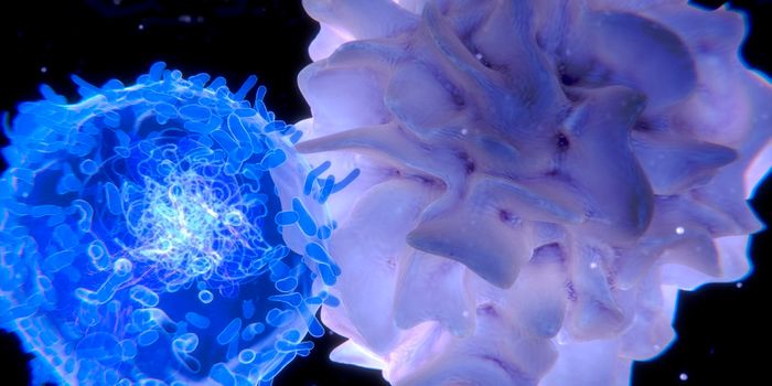 Cellular Gatekeeper Ushers Immune Cells Into Battle