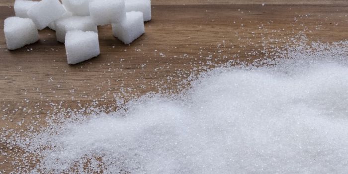 Highlighting the Role of Fructose in Metabolic Disease