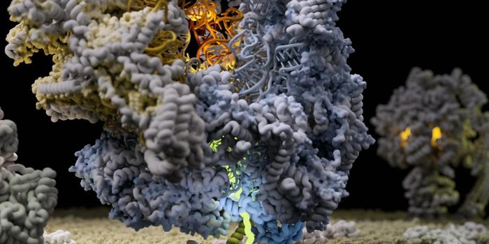 How an Organelle Makes Its Own Proteins