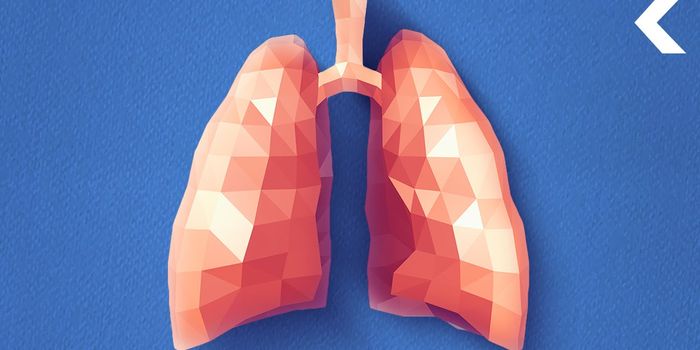 Here's Why Organ Rejection Occurs