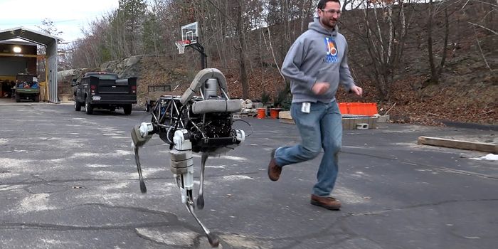 Imagine this "pet" fetching your newspaper in the morning