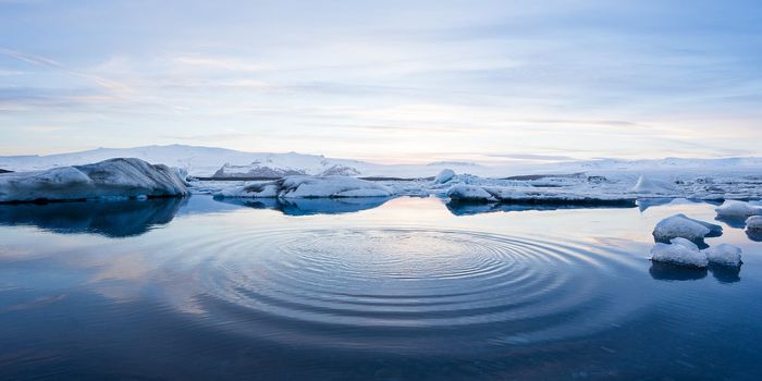 The Surprising Source of Life in the Arctic