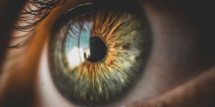 Researchers Discover a New Type of Cell in the Retina