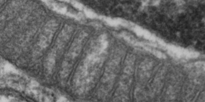 CoQ Molecule may Alleviate or Prevent Pre-diabetes