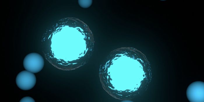 Some Immune Cells Have a Taste for Sugar