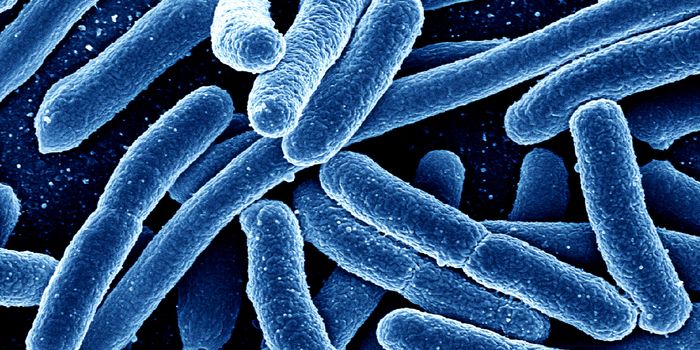 Hybrid Molecule Delivers 1-2 Punch to Find & Attack Nasty Staph Bacteria