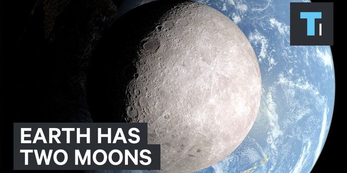 NASA Reveals Earth Has a Second, Hidden Moon