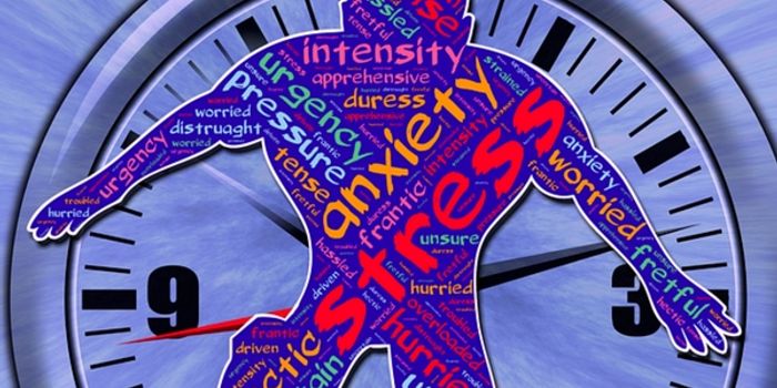 Autism and Stomach Issues: Could Stress Be a Factor?