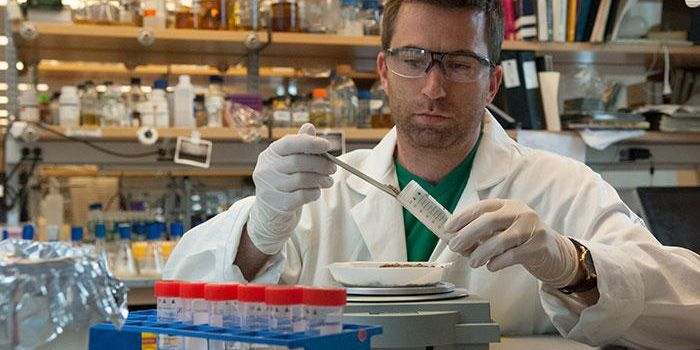 NYC Soil Survey Reveals Microbes That Could Make Medicines