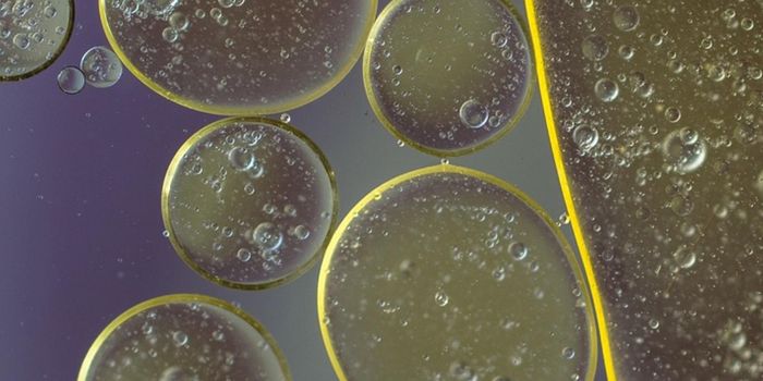 A Gut Microbe Linked to Good Health is Discovered