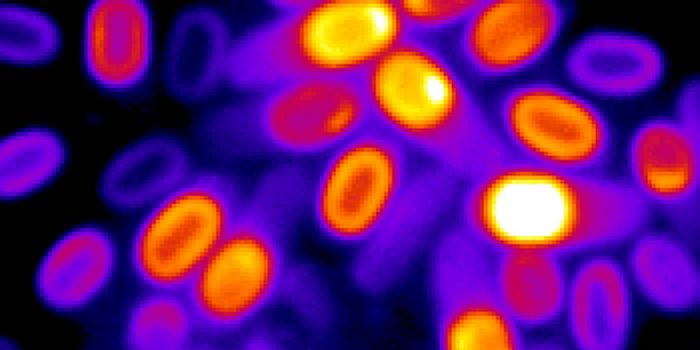 Return of the Zombie Bacteria