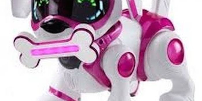 Can Robot Pets Replace Dogs and Cats?