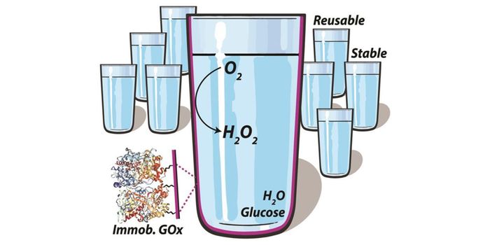 Self-deoxygenating Glassware: Sugar In, Oxygen Out
