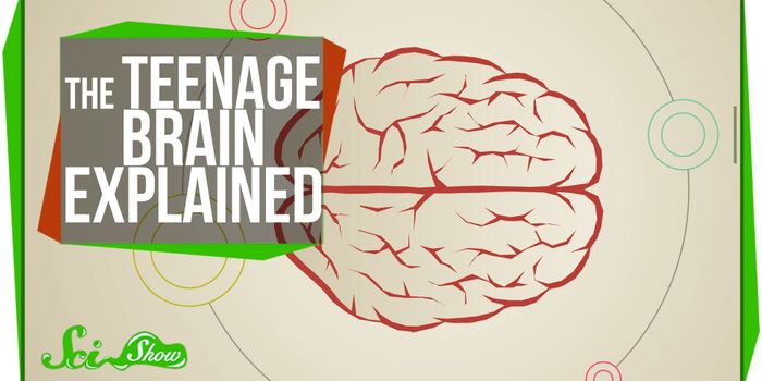 Understanding the teenage brain