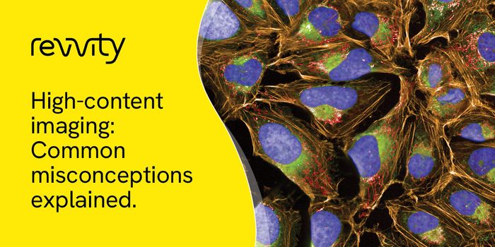 Rethinking High-Content Imaging: Myths vs. Realities