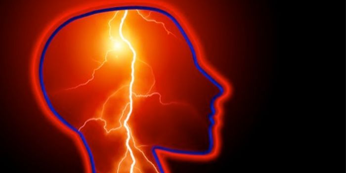 The Dissolvable Electronic Brain Sensor