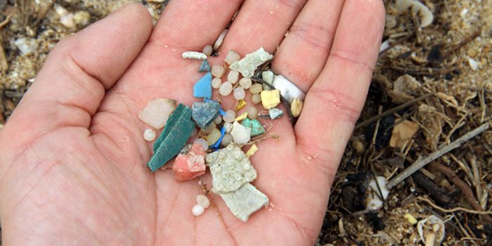 Degrading plastics are producing greenhouse gases