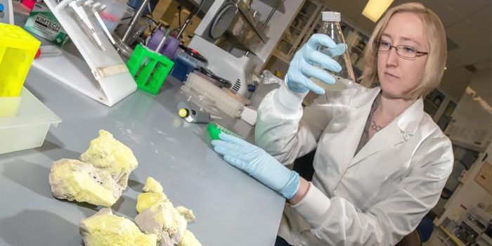 Epigenetic Inheritance is Revealed in Archaea