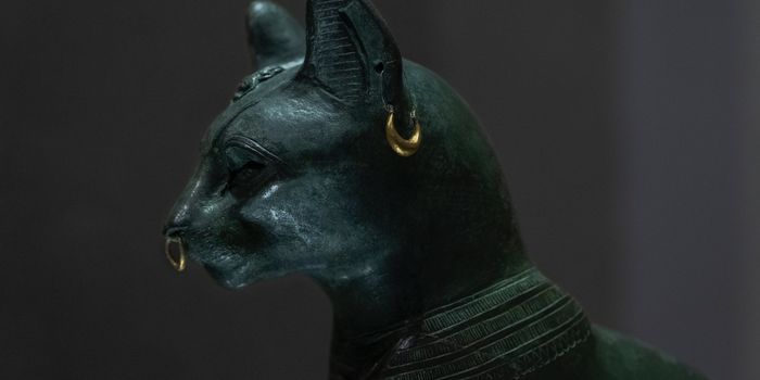 Non-invasive imaging reveals contents of ancient Egyptian animal coffins