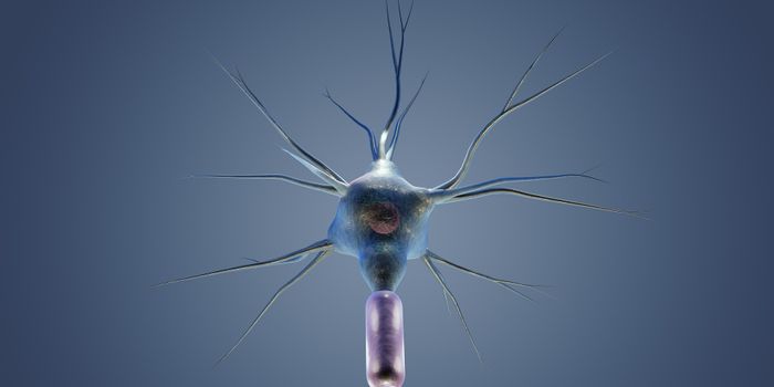 Novel Drugs Improve Nervous System in Multiple Sclerosis
