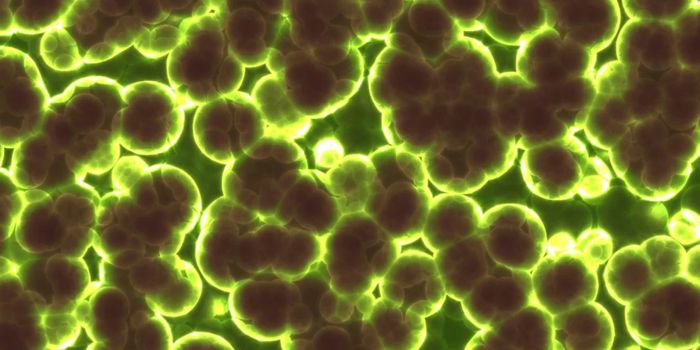 Connecting Gut Microbes, Diet, and Health