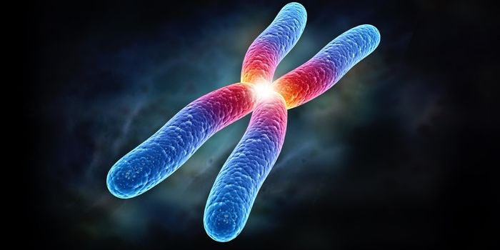 Scientists Unveil What the X Chromosome is Really Up To