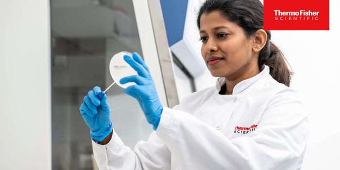 Why Culture Still Matters in Candida Diagnostics