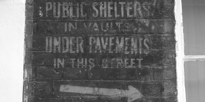 From the Tunnel to the Table: Underground Farming in London