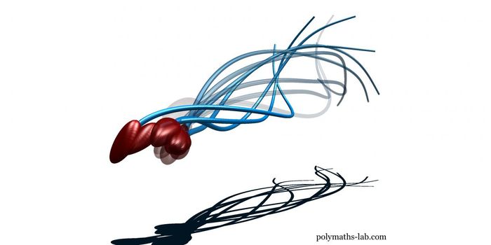 Research Shows That Sperm Don't Wriggle, They Roll